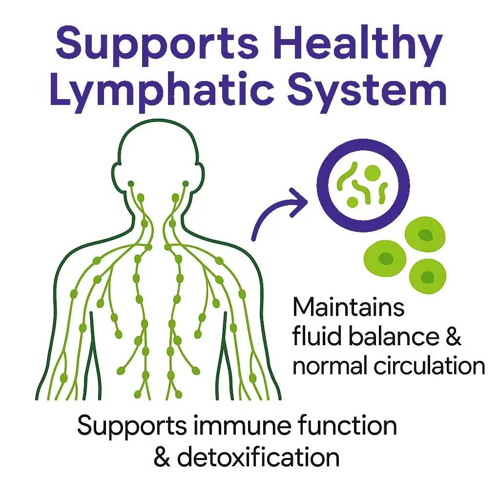Lymphatic Support Liquid Drops